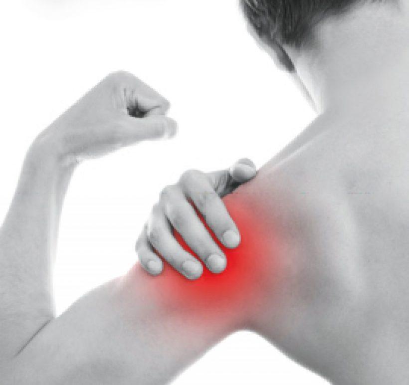 Vita chondroCurma® Doppelpack - Mamaladen GmbH