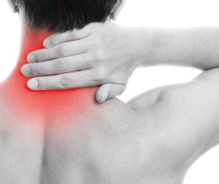 Vita chondroCurma® plus 2er Pack(2x 20 Sachets) - Mamaladen GmbH